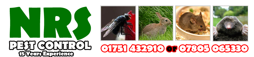 Pest Control Kirkbymoorside